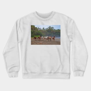 Costa Rica. Town of Cahuita. Horses on the Beach. Crewneck Sweatshirt